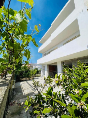 Blendi Guest House